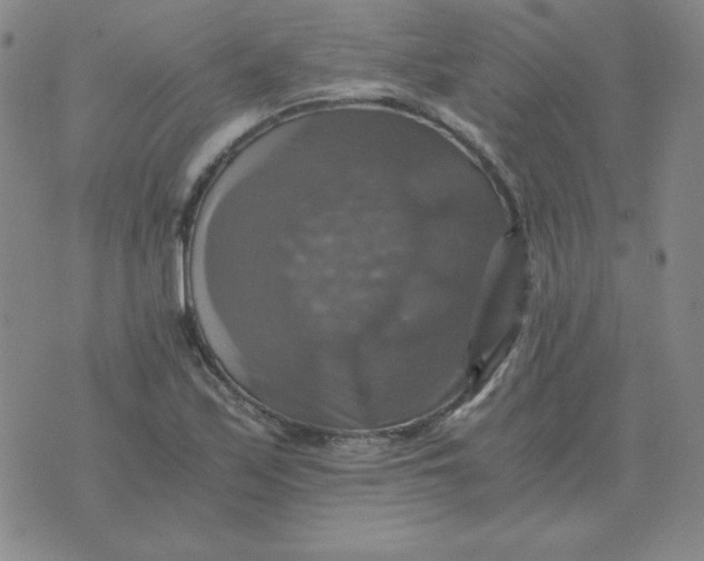 X0000075861171200610061930