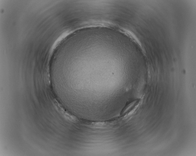 X0000075861172200610061930