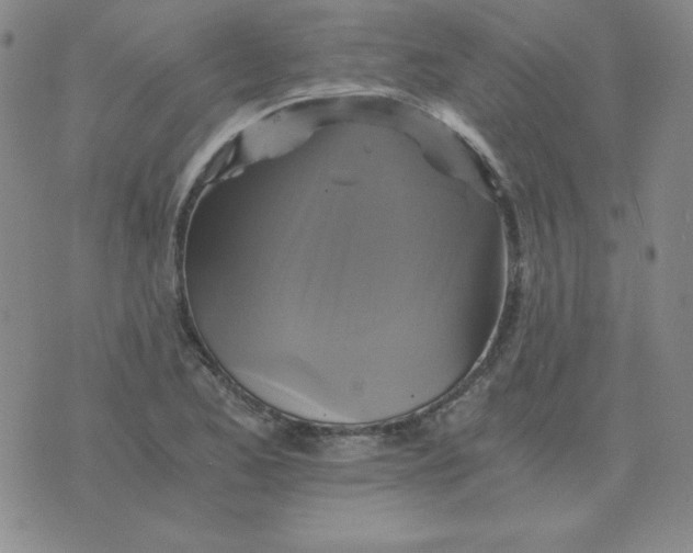 X0000075861173200610061930