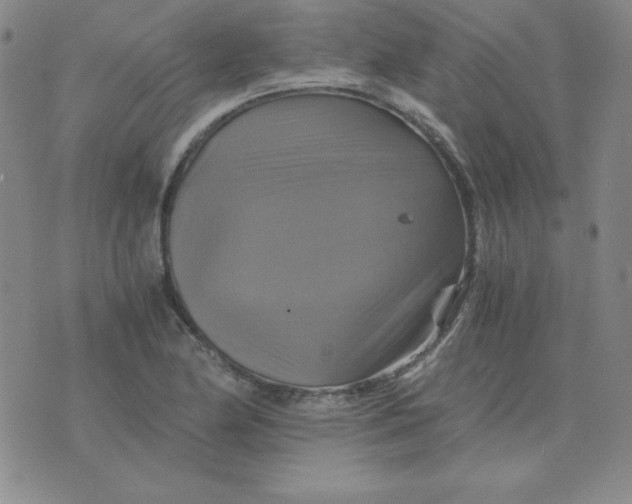 X0000075861174200610061930