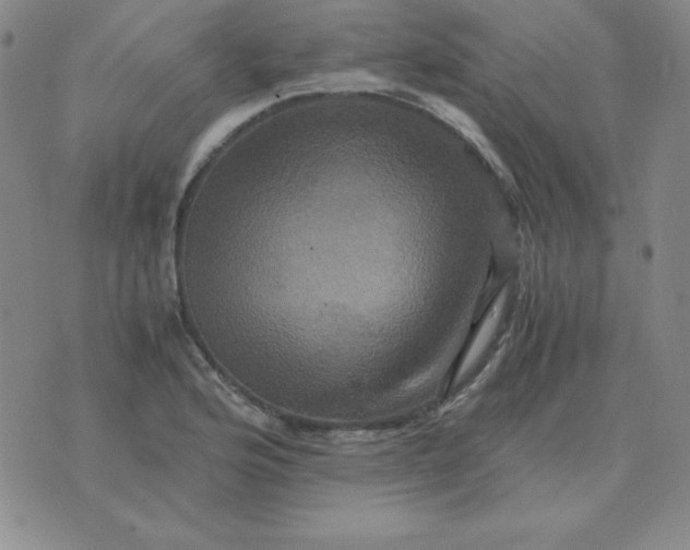 X0000075861176200610061930