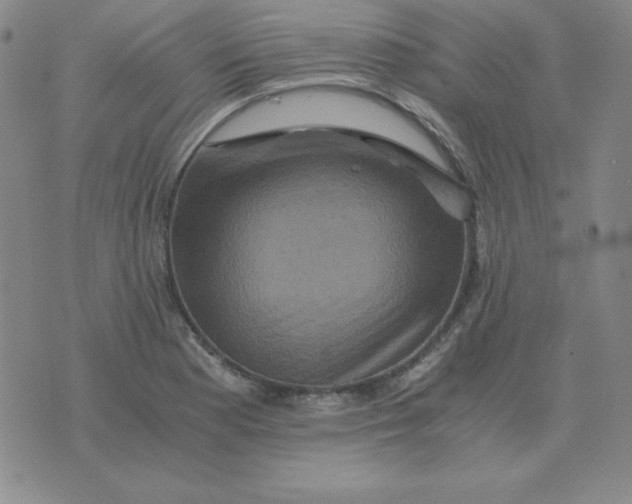 X0000075861177200610061930