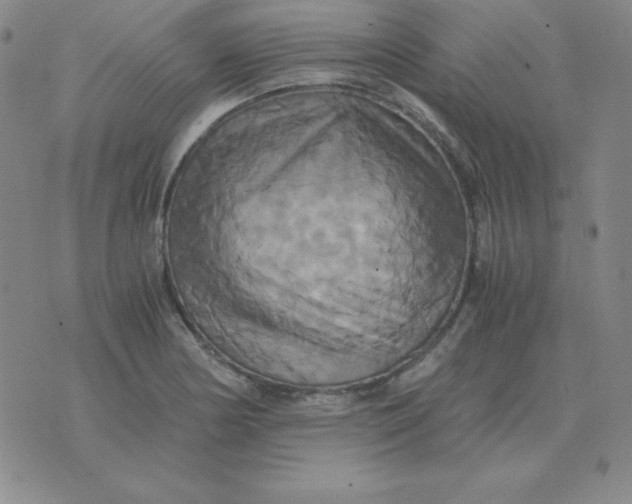 X0000075861178200610061930