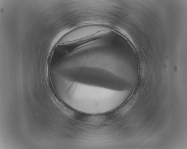 X0000075861179200610061930