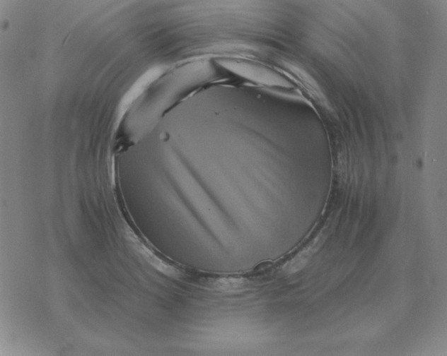 X0000075861180200610061930