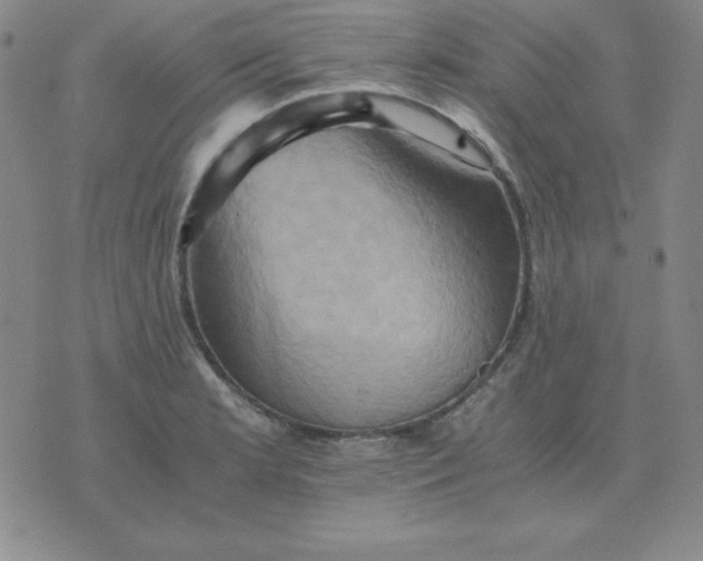 X0000075861181200610061930