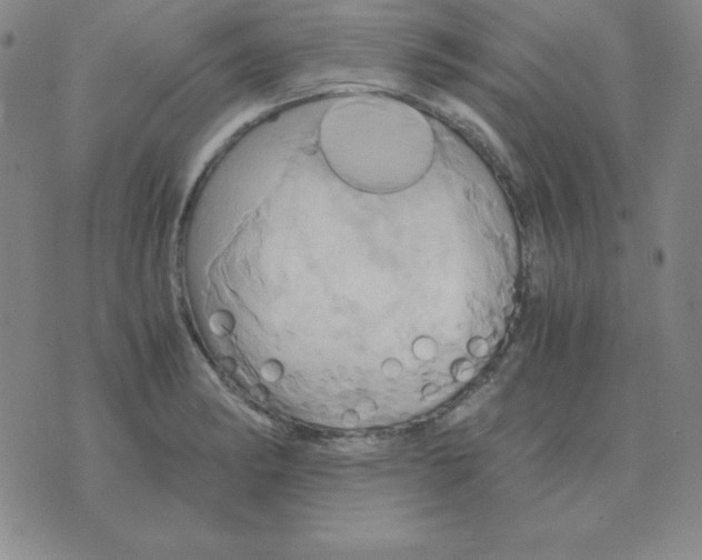 X0000075861182200610061929