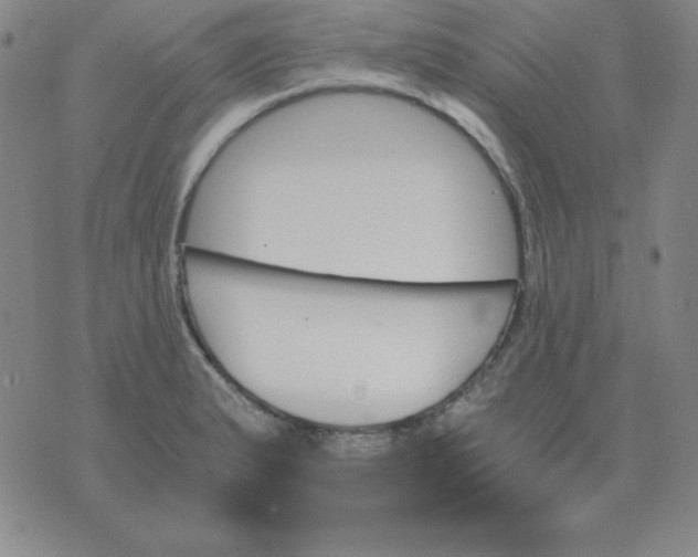 X0000075861183200610061929