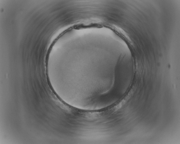 X0000075861184200610061929