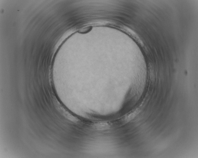 X0000075861186200610061929