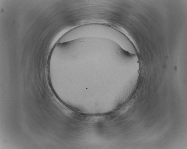 X0000075861187200610061929