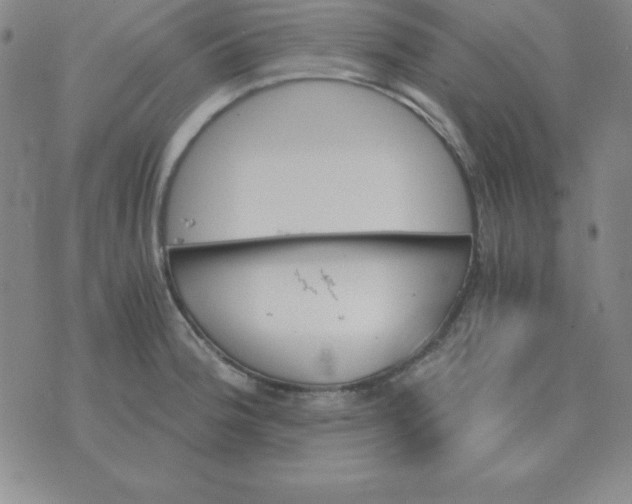 X0000075861188200610061929