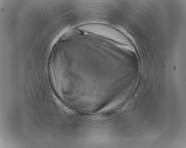 X0000075861189200610061929