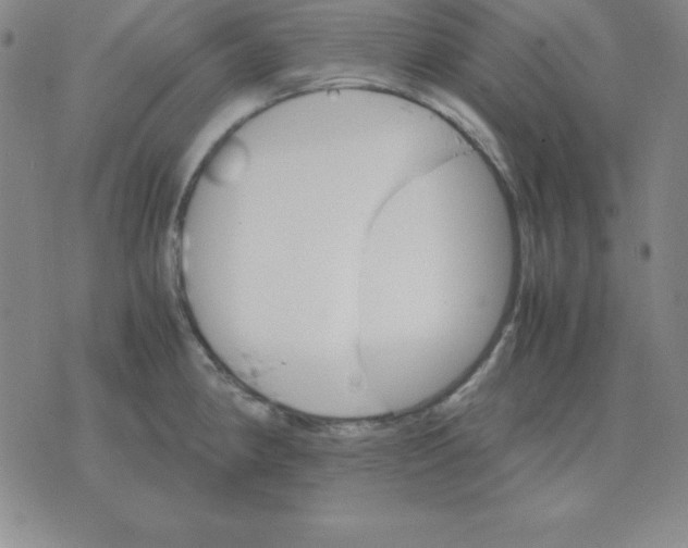 X0000075861190200610061929