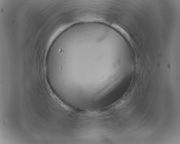 X0000075861191200610061929