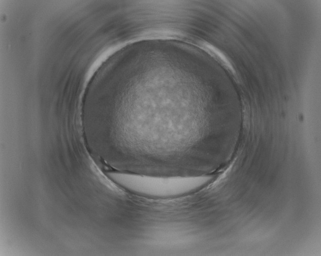 X0000075861192200610061929