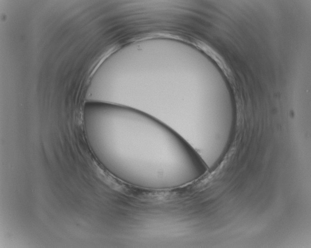 X0000075861193200610061929