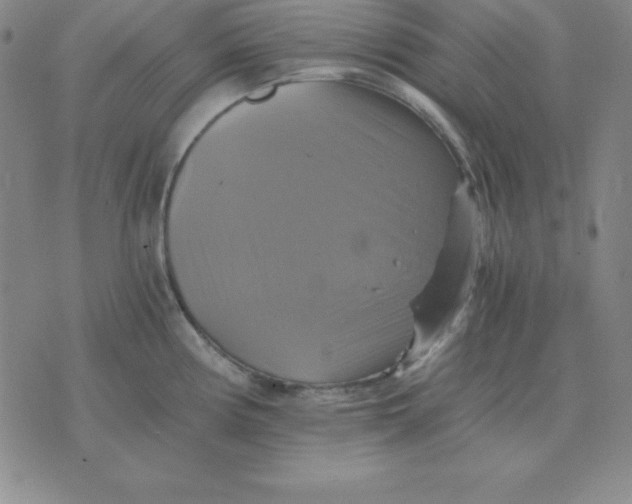 X0000075861194200610061929