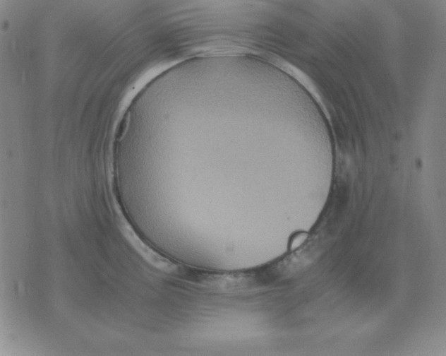 X0000075861195200610061929