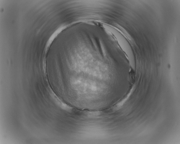 X0000075861196200610061929