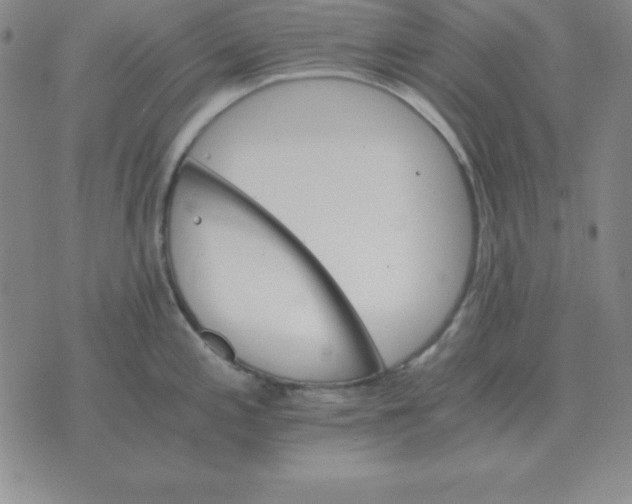 X0000075861197200610061929