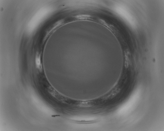 X0000075861198200610061929