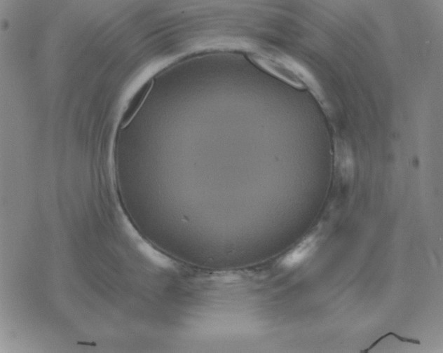 X0000075861199200610061929