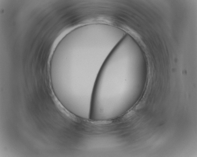 X0000075861200200610061929