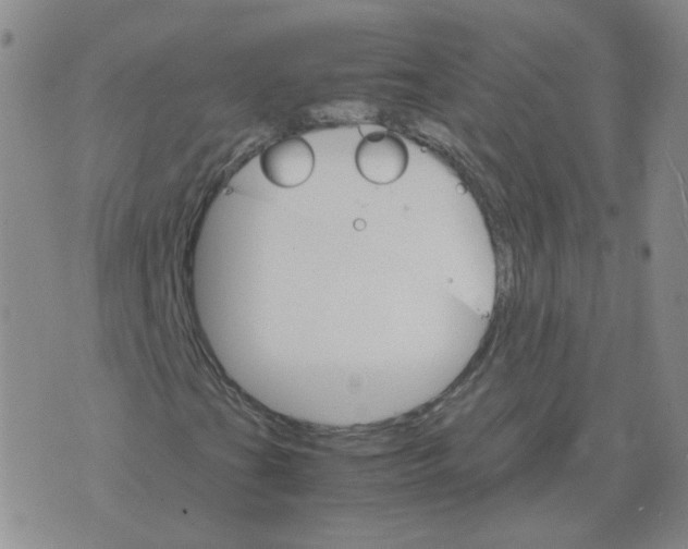 X0000075861201200610061928