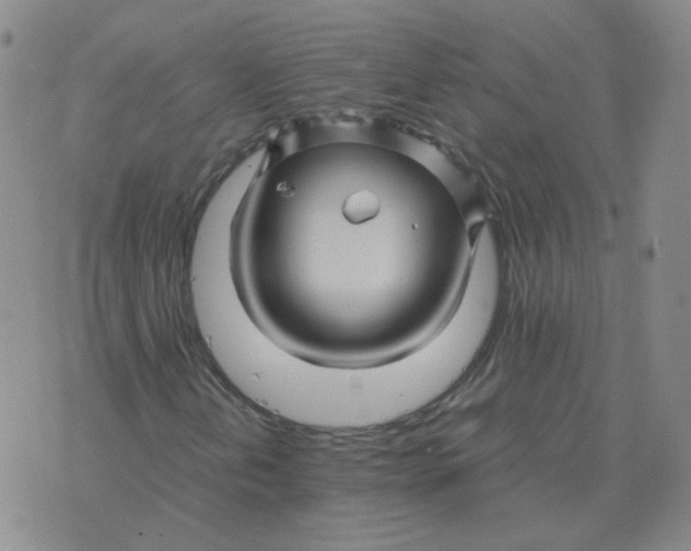 X0000075861202200610061928