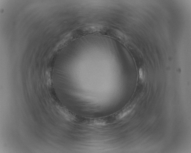 X0000075861203200610061928