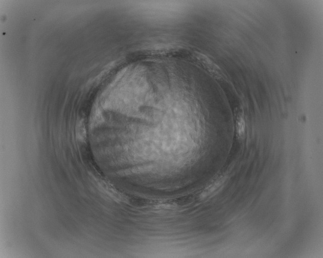 X0000075861204200610061928