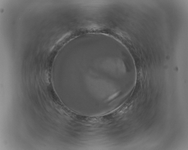 X0000075861205200610061928