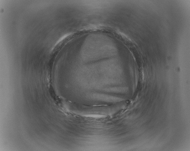 X0000075861206200610061929