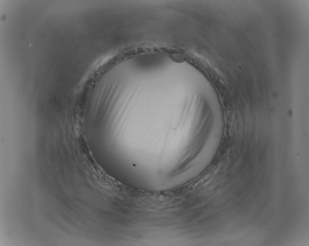 X0000075861207200610061929