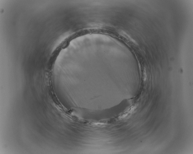 X0000075861208200610061929