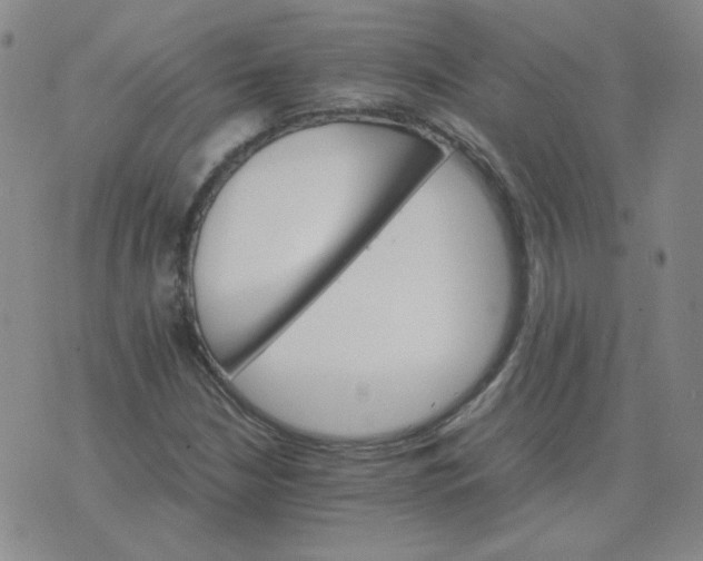 X0000075861210200610061929