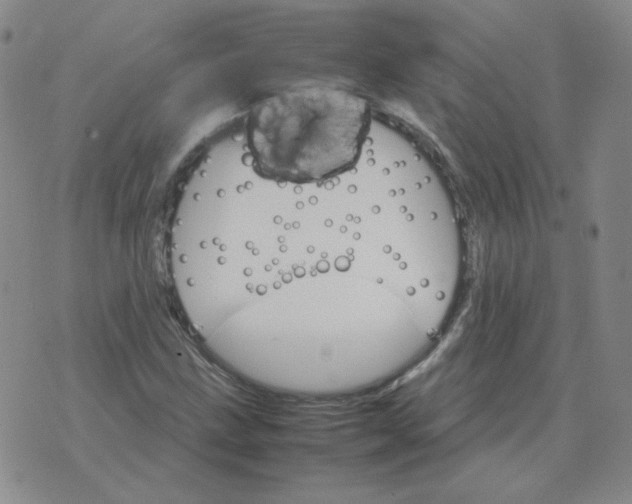 X0000075861211200610061929