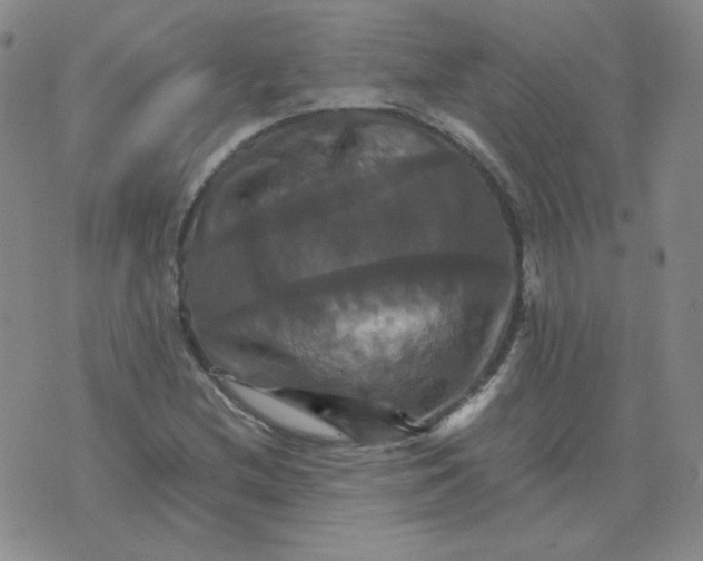 X0000075861212200610061929