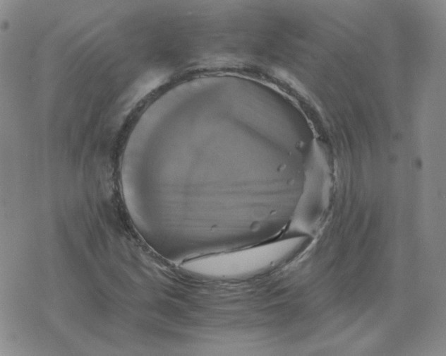 X0000075861213200610061929