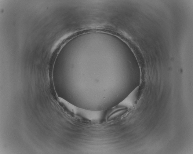 X0000075861214200610061929