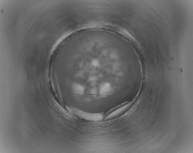 X0000075861216200610061929