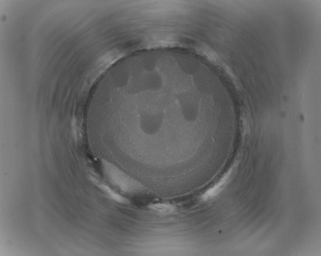 X0000075861217200610061929