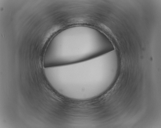 X0000075861218200610061929