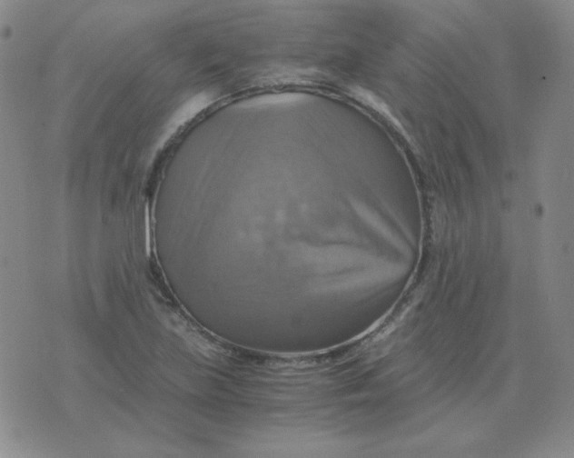 X0000075861219200610061929