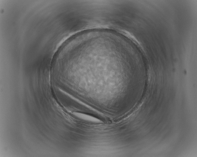 X0000075861220200610061929