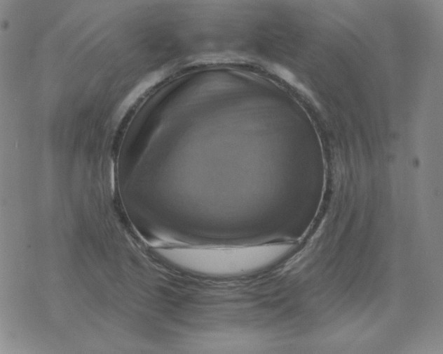 X0000075861221200610061929