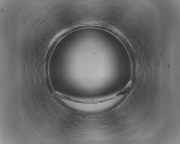 X0000075861222200610061929