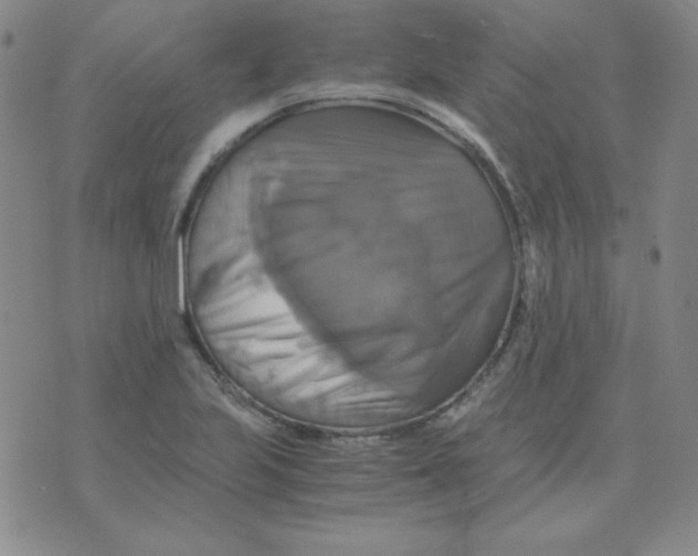 X0000075861223200610061929