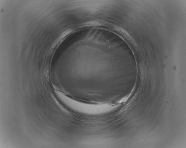 X0000075861225200610061929